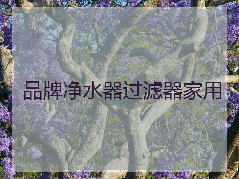品牌净水器过滤器家用