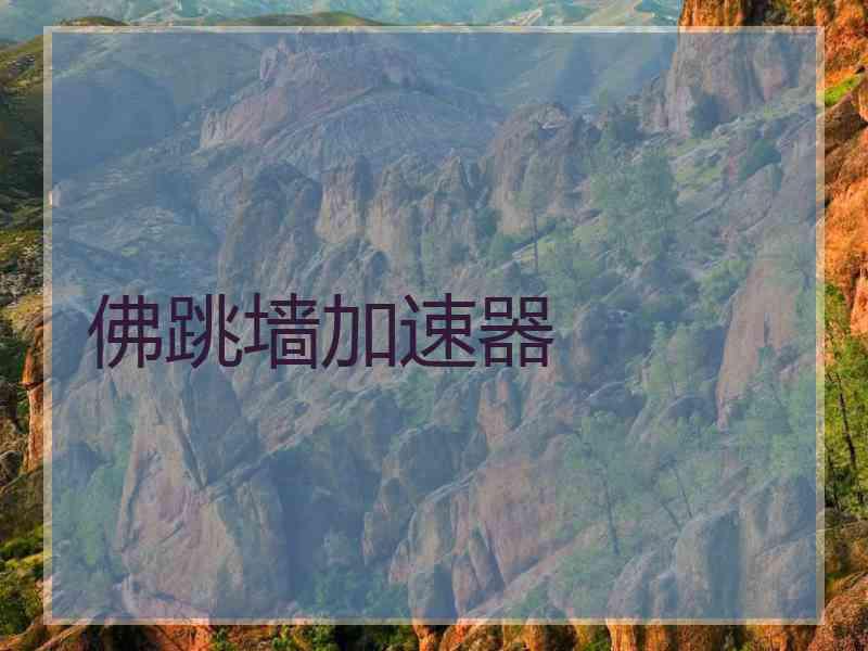 佛跳墙加速器