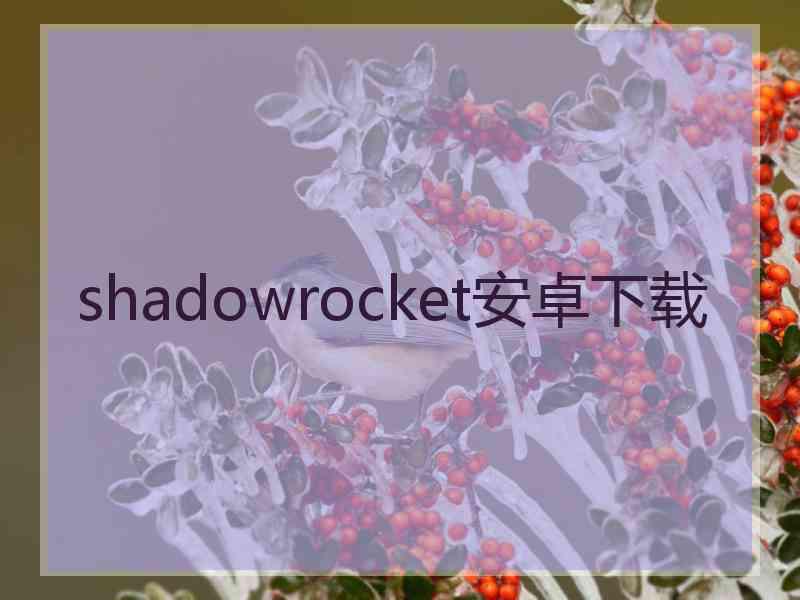 shadowrocket安卓下载