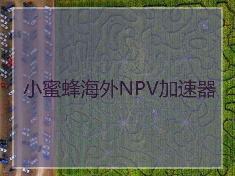 小蜜蜂海外NPV加速器