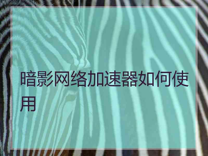 暗影网络加速器如何使用