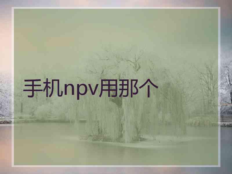 手机npv用那个