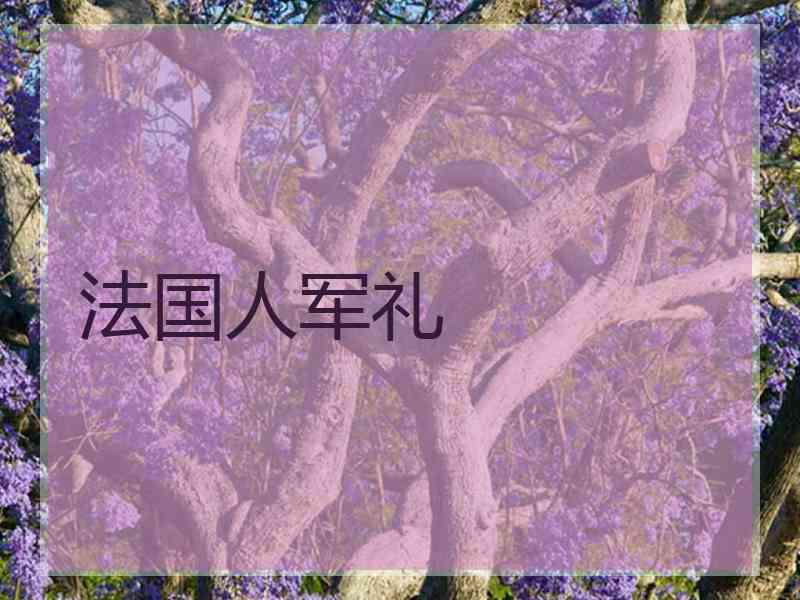 法国人军礼