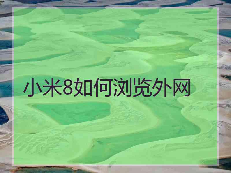 小米8如何浏览外网