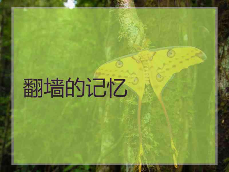 翻墙的记忆