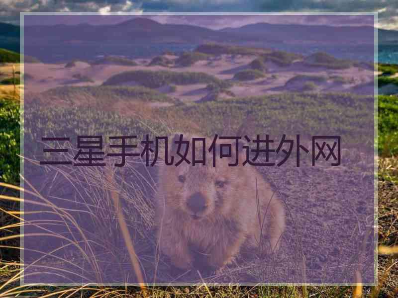 三星手机如何进外网