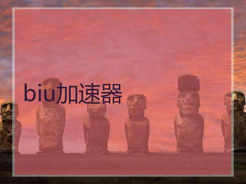 biu加速器