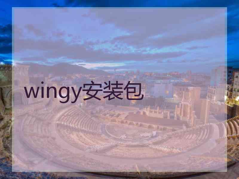 wingy安装包