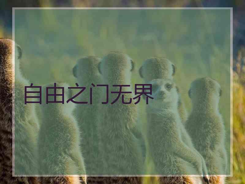 自由之门无界