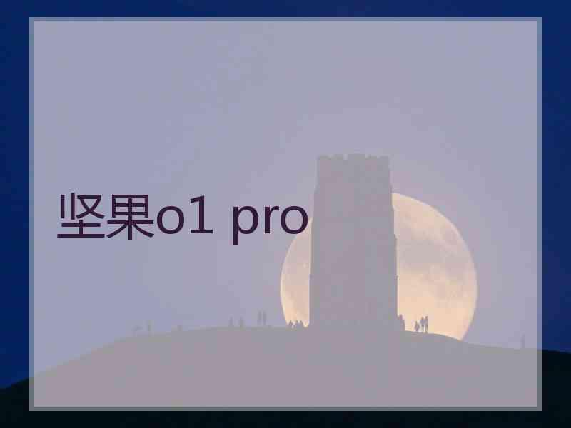 坚果o1 pro