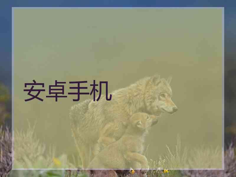 安卓手机