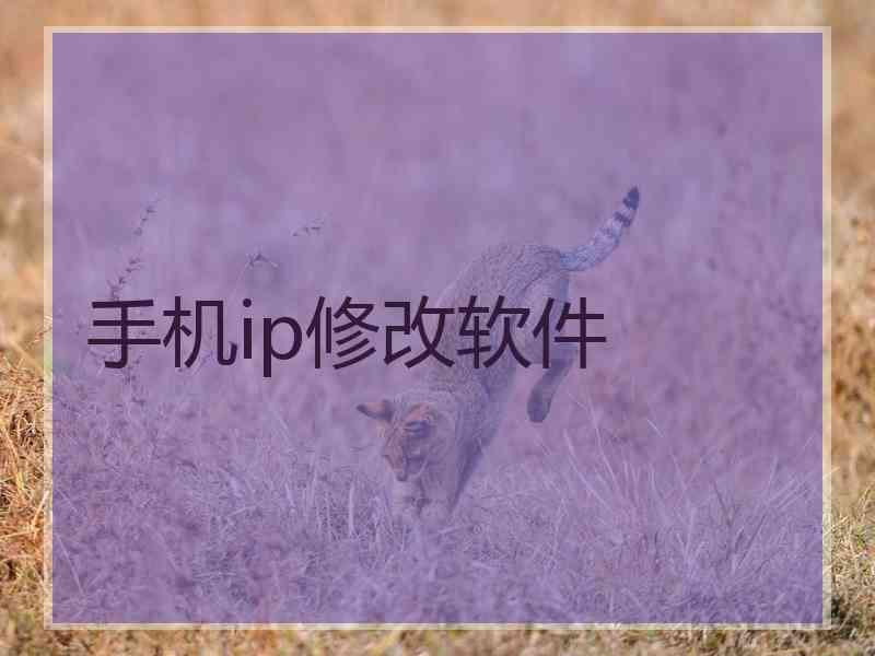 手机ip修改软件