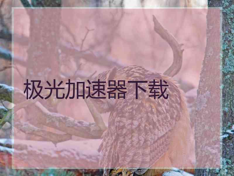 极光加速器下载