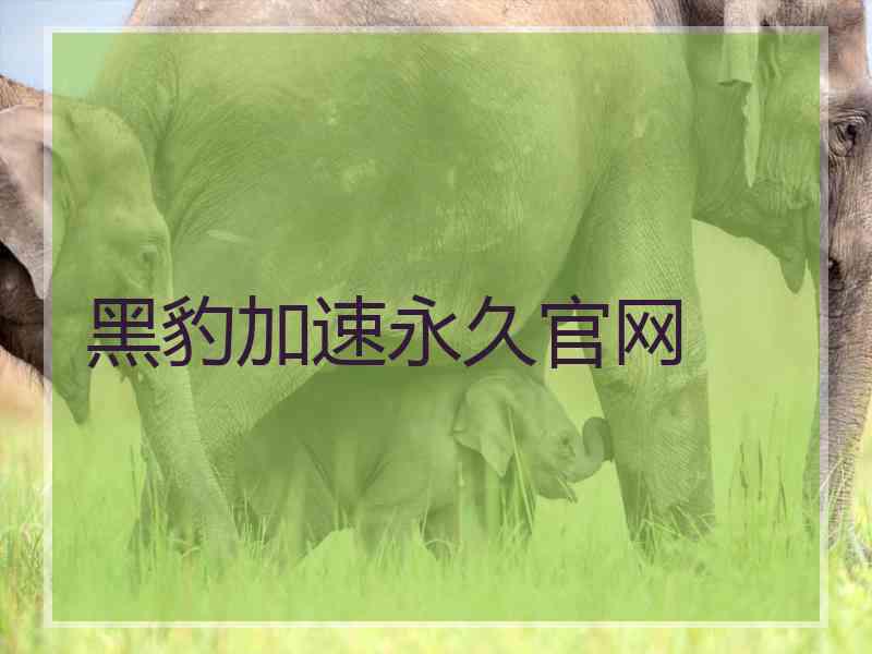 黑豹加速永久官网