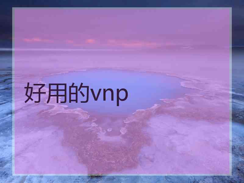 好用的vnp