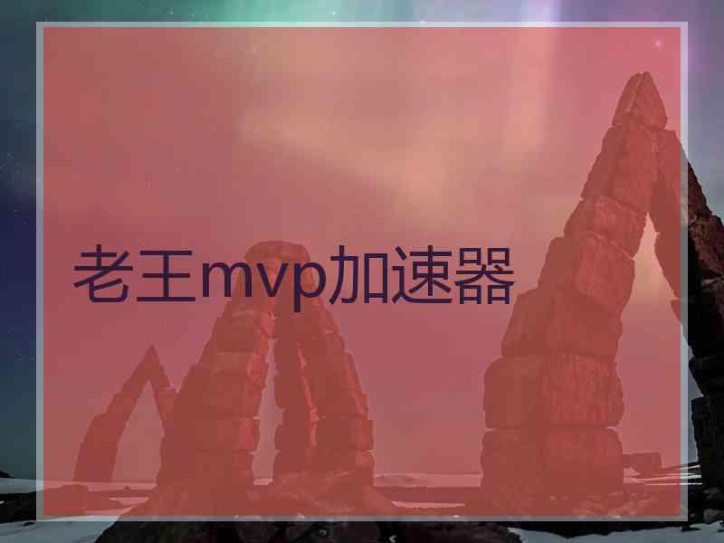 老王mvp加速器