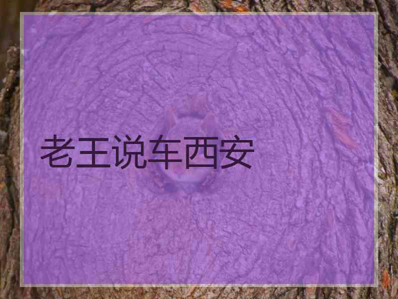 老王说车西安