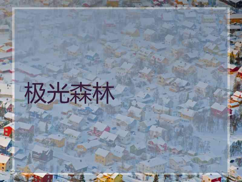 极光森林