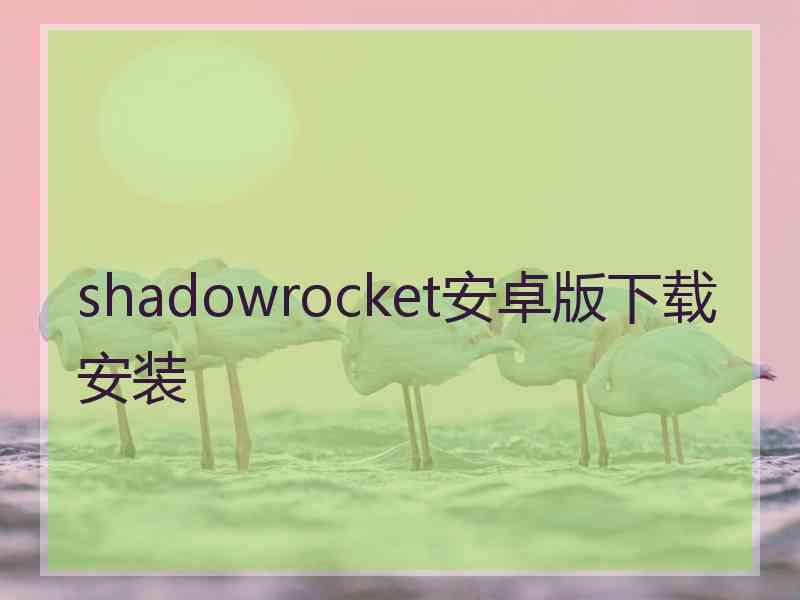 shadowrocket安卓版下载安装