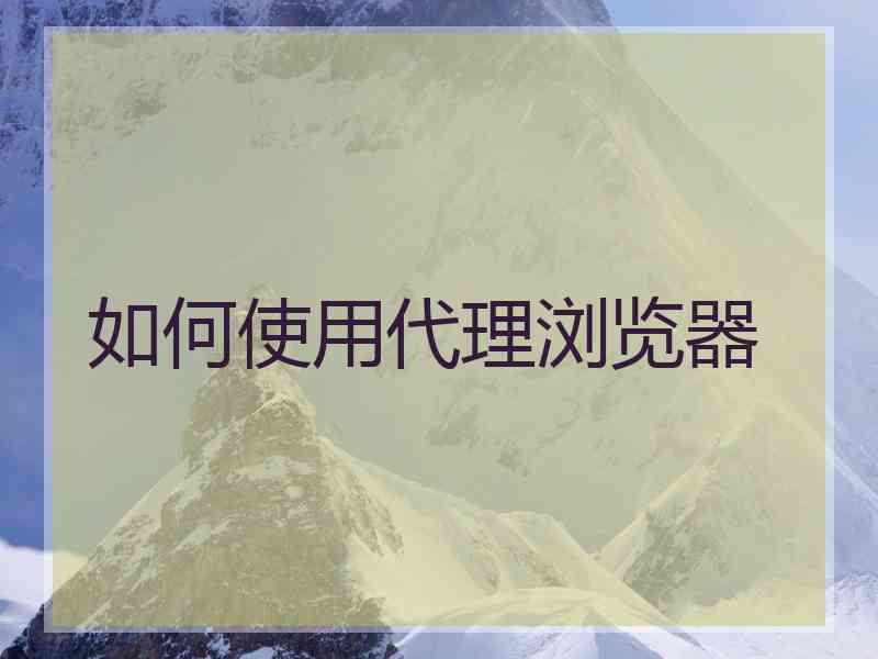 如何使用代理浏览器