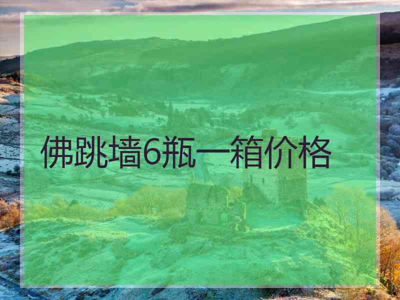 佛跳墙6瓶一箱价格