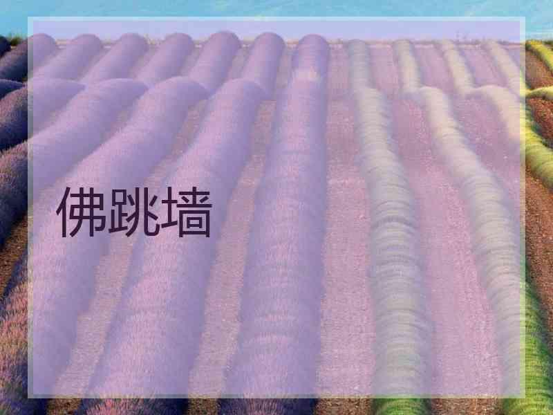 佛跳墙