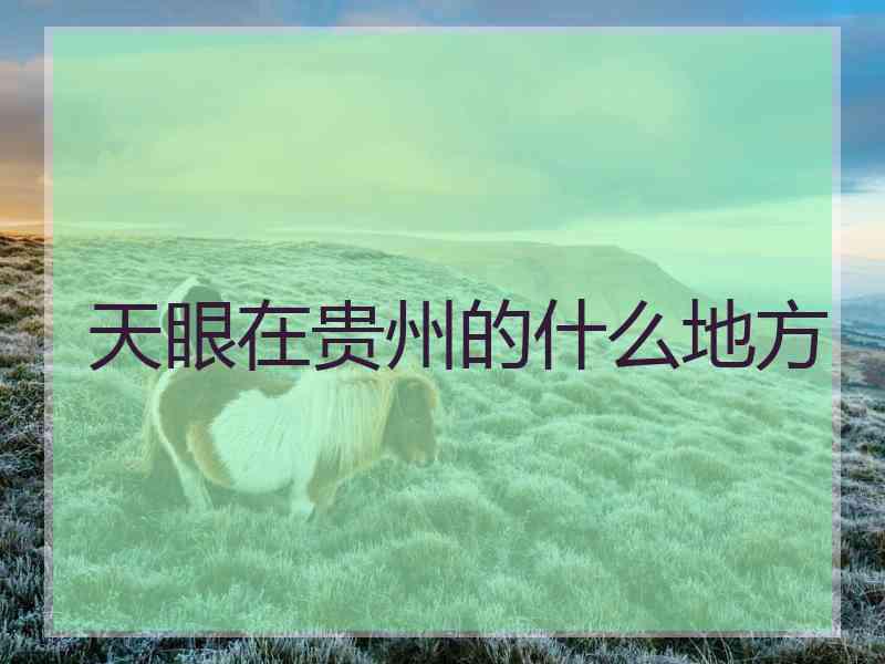 天眼在贵州的什么地方