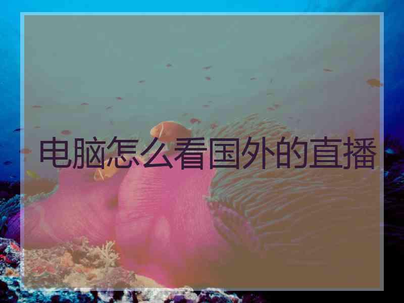电脑怎么看国外的直播