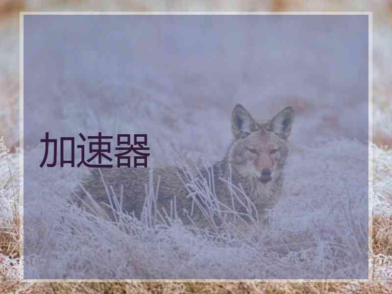 加速器