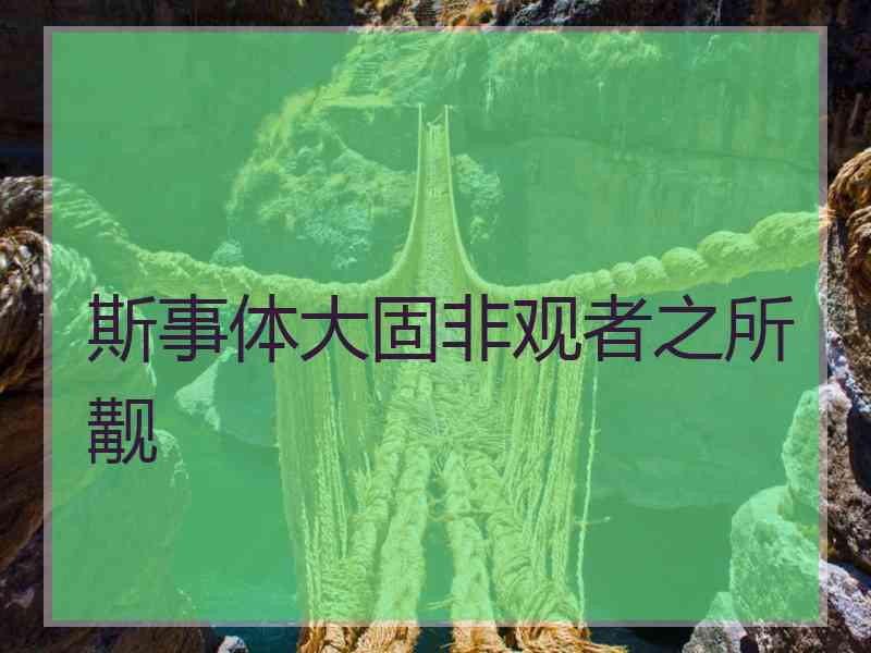 斯事体大固非观者之所觏