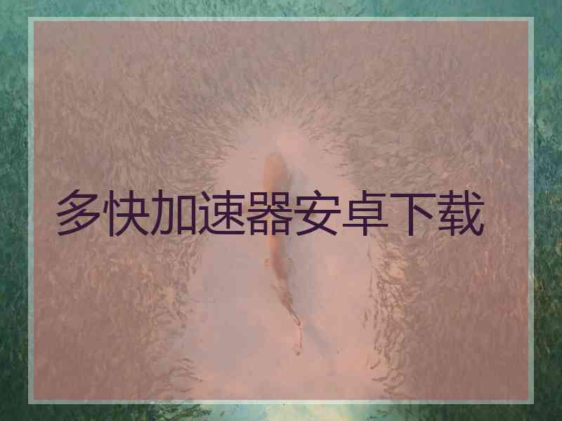 多快加速器安卓下载