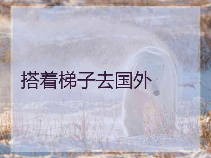 搭着梯子去国外