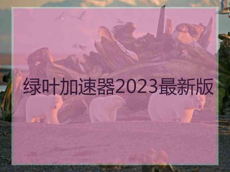 绿叶加速器2023最新版