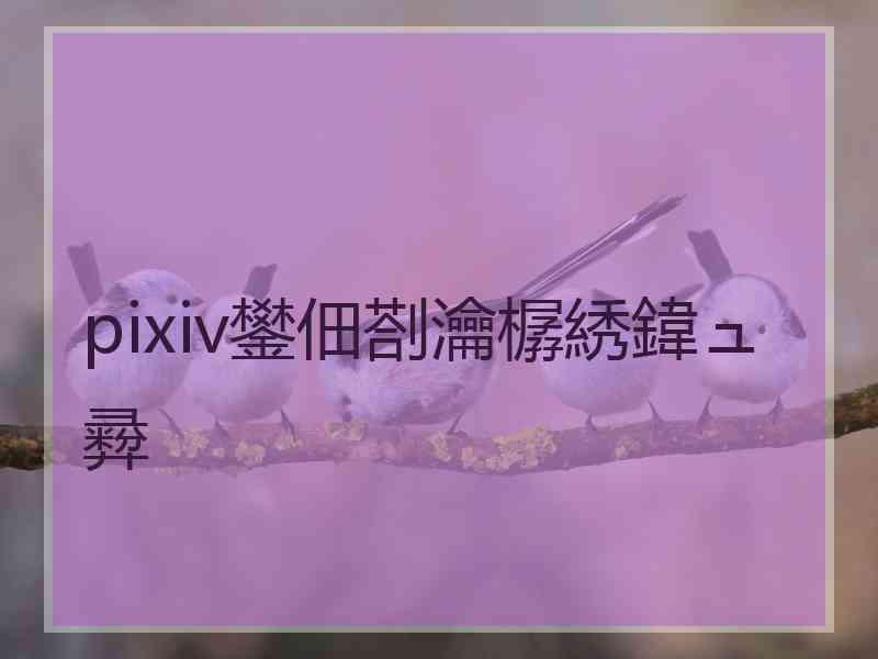 pixiv鐢佃剳瀹樼綉鍏ュ彛