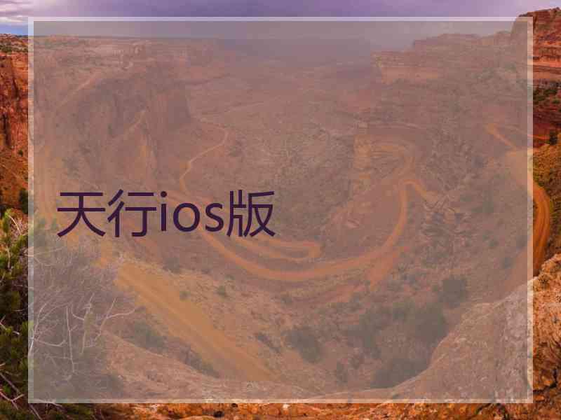 天行ios版