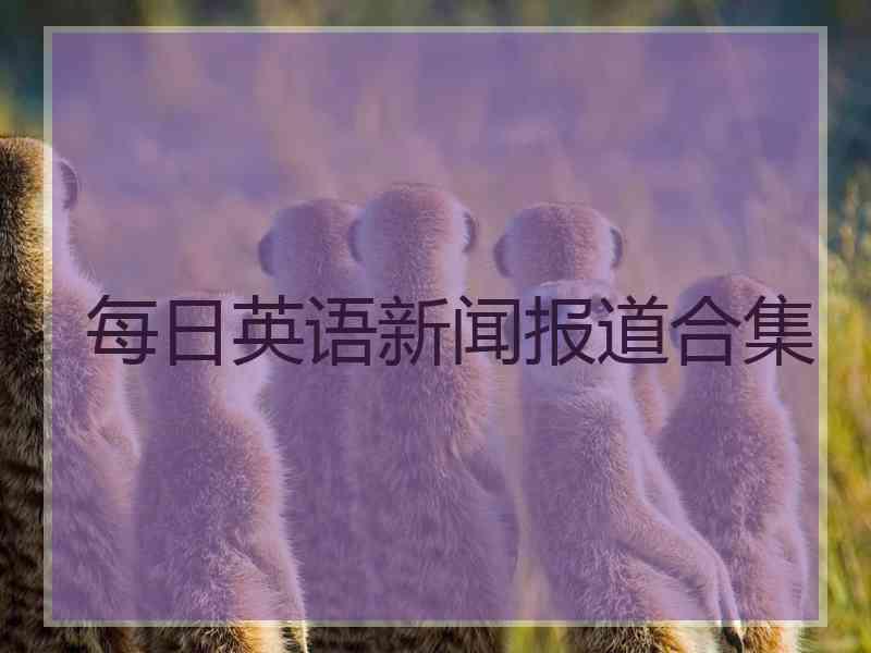 每日英语新闻报道合集
