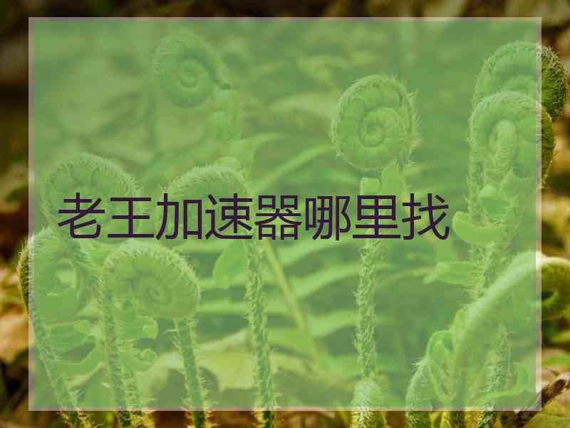 老王加速器哪里找