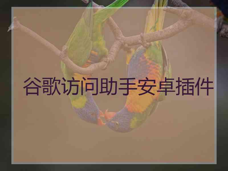 谷歌访问助手安卓插件