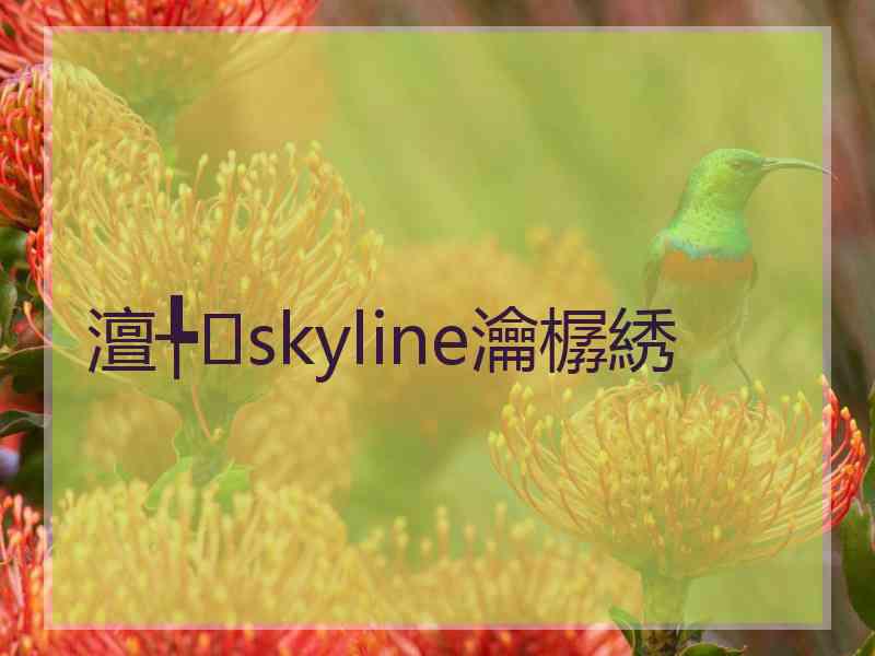 澶╄skyline瀹樼綉