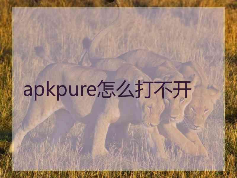 apkpure怎么打不开