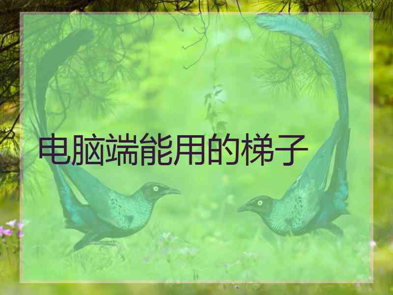 电脑端能用的梯子