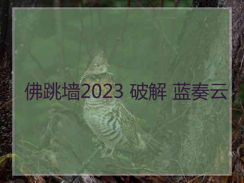 佛跳墙2023 破解 蓝奏云