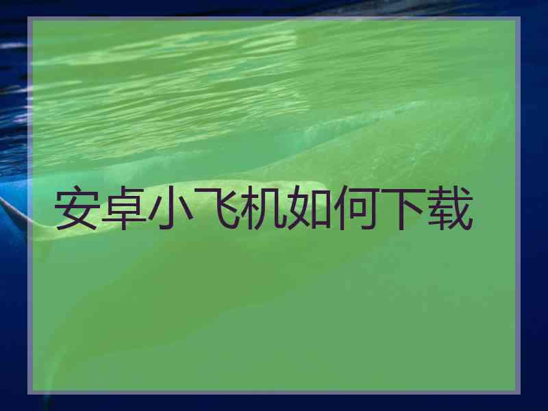 安卓小飞机如何下载