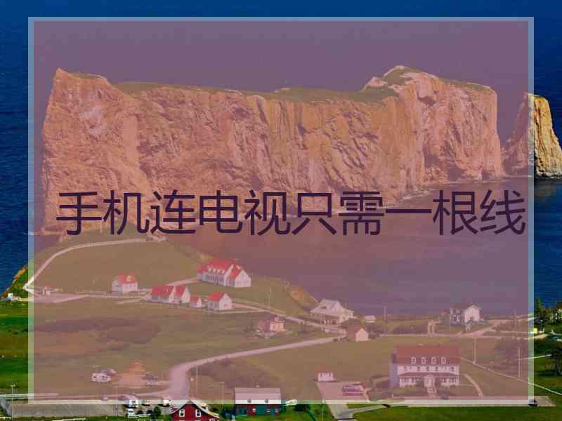 手机连电视只需一根线
