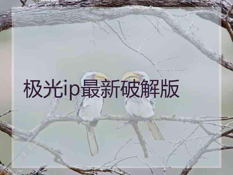 极光ip最新破解版