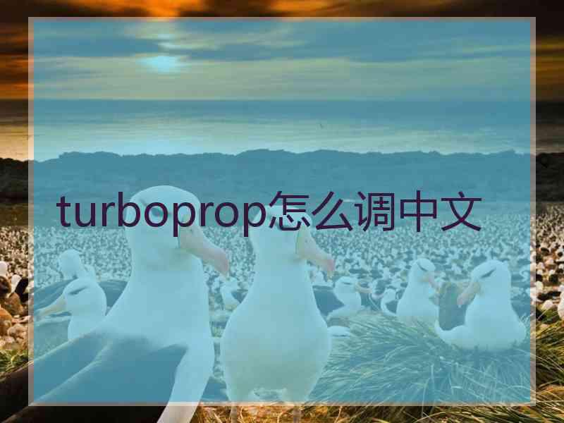 turboprop怎么调中文