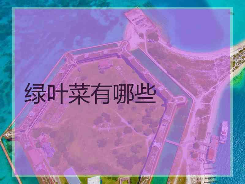 绿叶菜有哪些