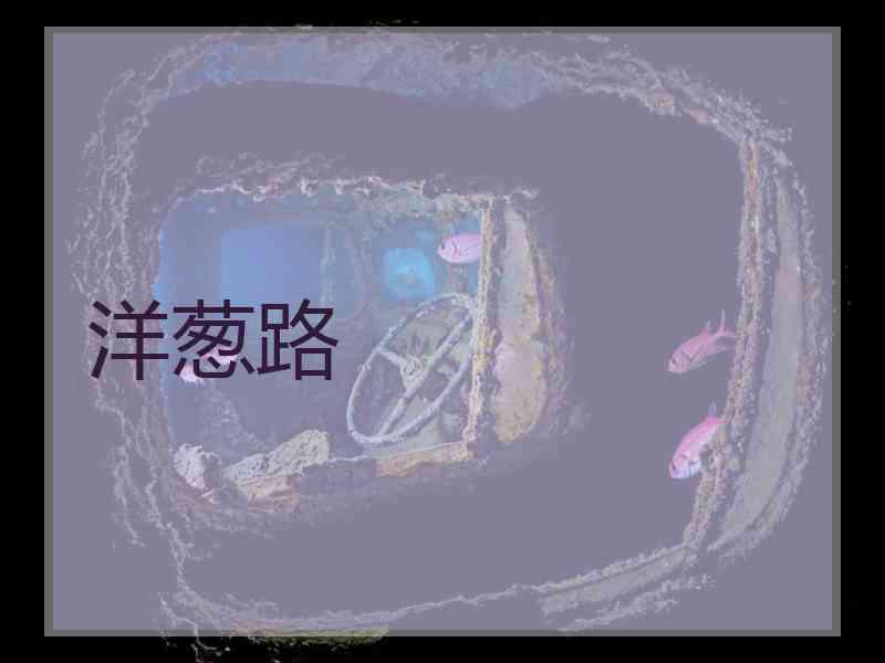 洋葱路