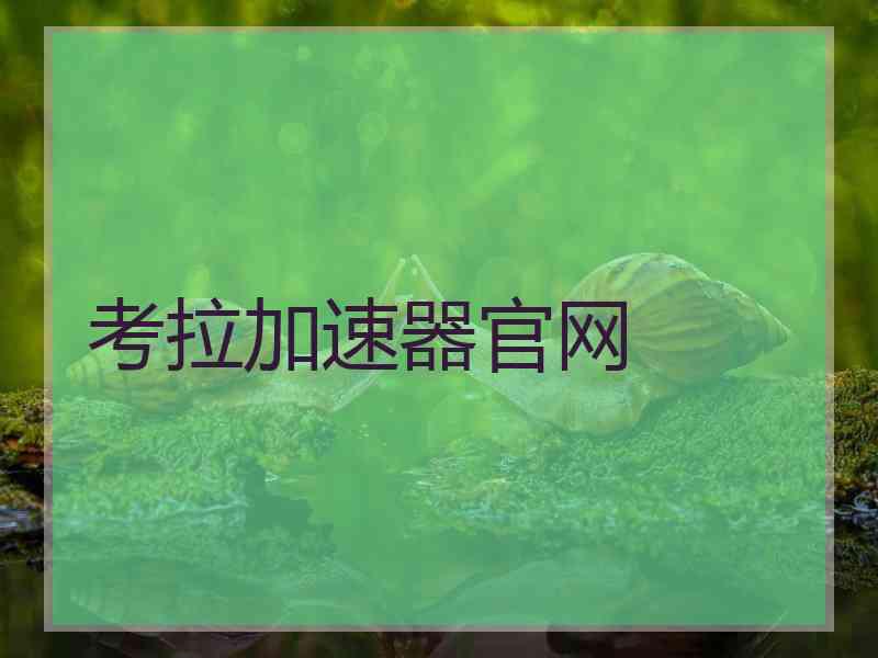 考拉加速器官网