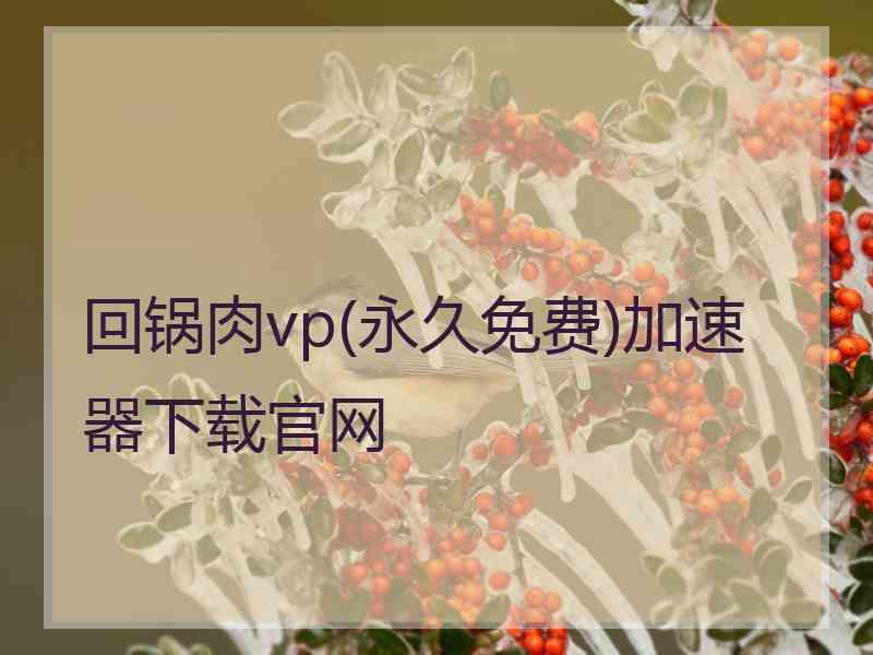 回锅肉vp(永久免费)加速器下载官网
